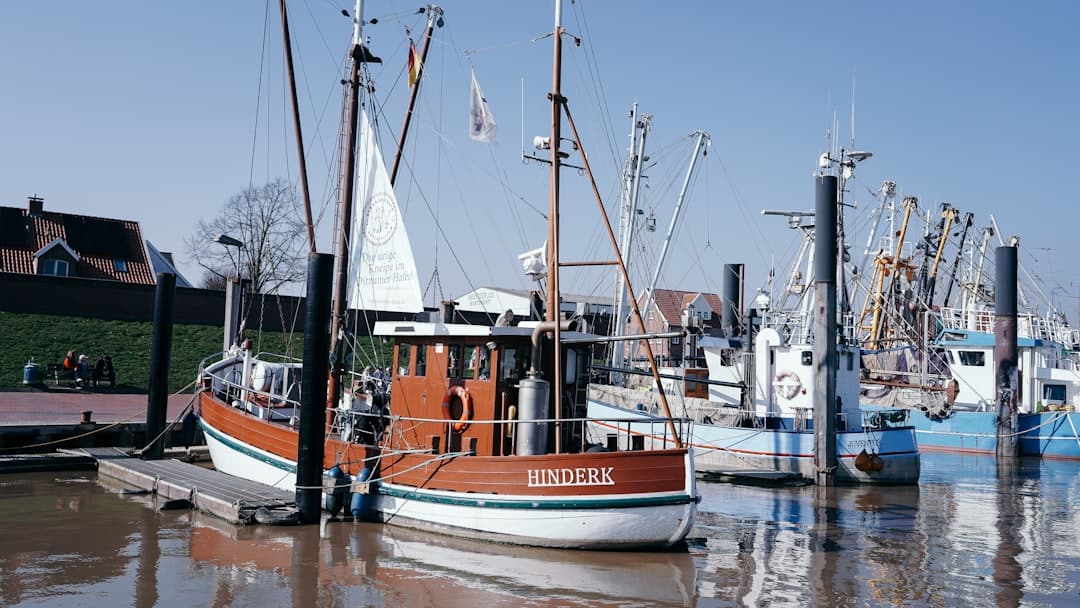 Fishing boats docked in a harbor on a sunny day