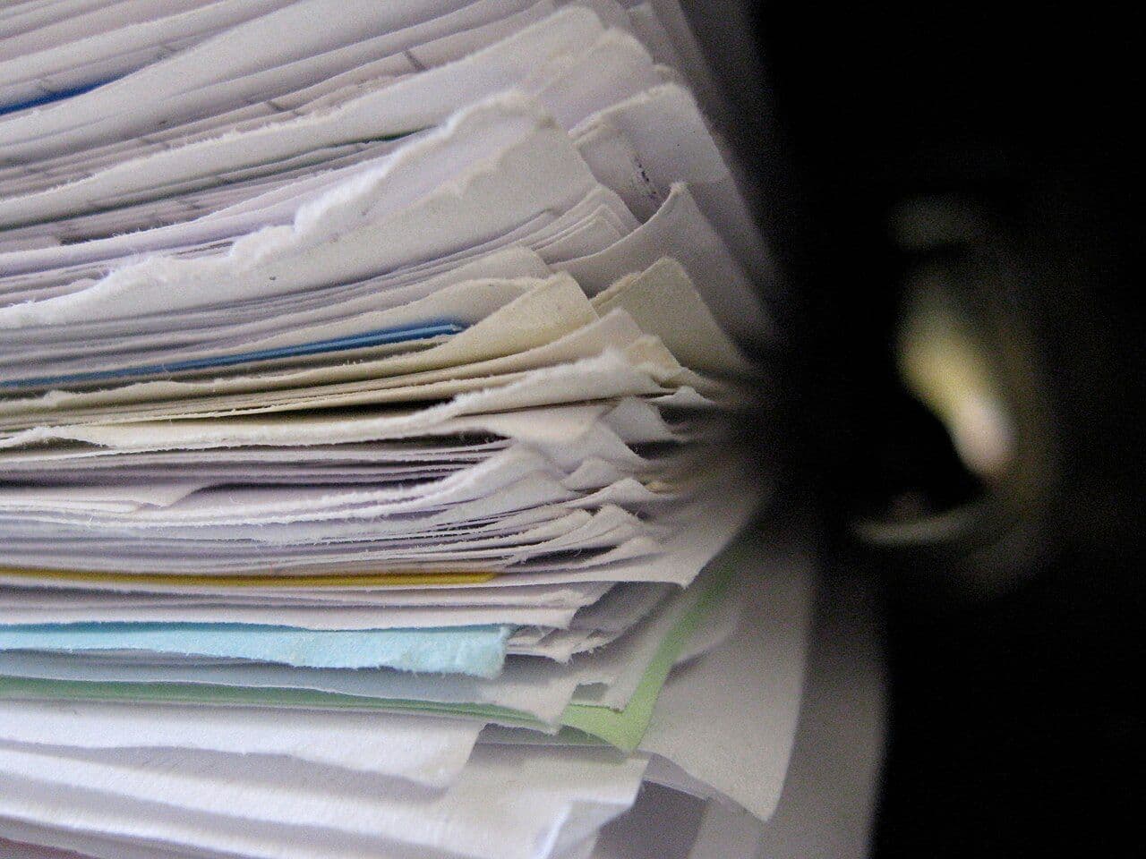 Photo par Niklas Bildhauer (who also is User gerolsteiner91. (CC BY-SA 2.0) via Wikimedia Commons