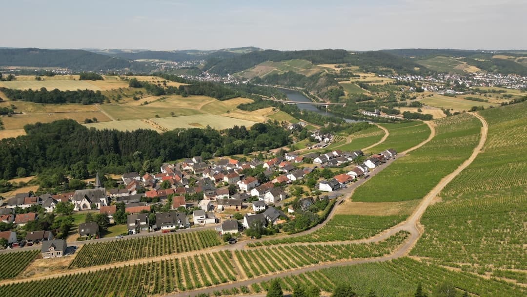 an aerial view of a small village in the countryside