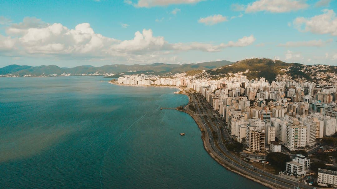 aerial view of city buildings near body of water during daytime